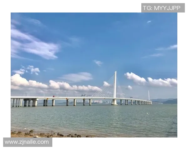 深圳羽毛球队的精神探秘与荣耀之路揭秘 深圳羽毛球队的精神探秘与荣耀之路揭秘