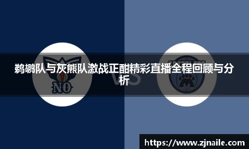鹈鹕队与灰熊队激战正酣精彩直播全程回顾与分析
